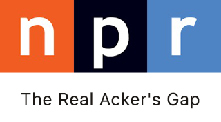 Interview with NPR's Noah Adams